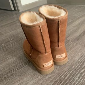 Chestnut Brown Short Ugg Boots